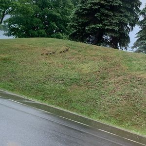 Meet your Posher, Tian